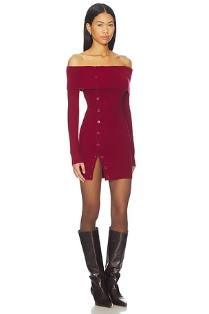 Lovers and Friends Lexi Mini Dress in Wine. Size XS. Also