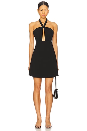 Barbara Mini Dress Lovers and Friends