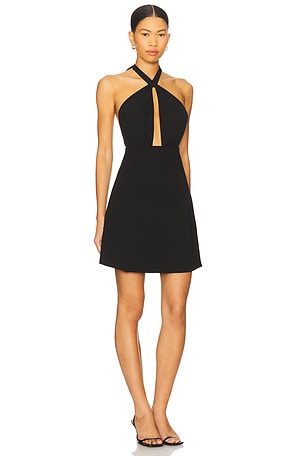 Lovers and Friends Barbara Mini Dress in Black