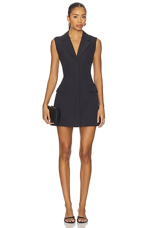 Sophia Mini Dress Lovers and Friends