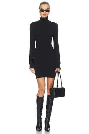 Steffi Turtleneck Mini Dress Lovers and Friends