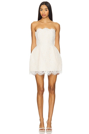 Sarina Mini Dress Lovers and Friends