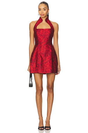 Molli Mini Dress Lovers and Friends