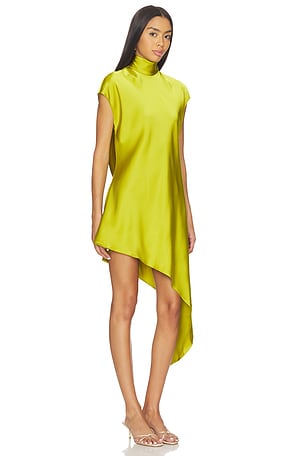 Lovers and Friends Reina Mini Dress in Green