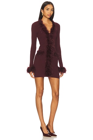 Lovers and Friends Rubia Feather Mini Dress in Wine. Size XXS. Also