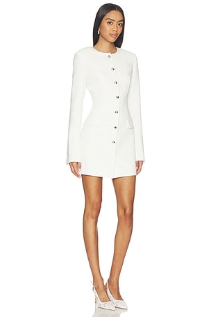 Lovers and Friends Juliette Mini Dress in Ivory