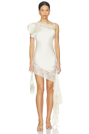 Nataliya Mini Dress Lovers and Friends