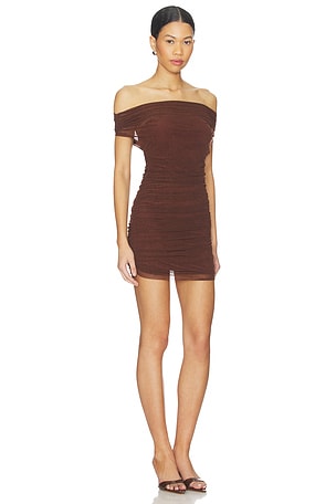 Lovers and Friends Katie Mini Dress in Brown