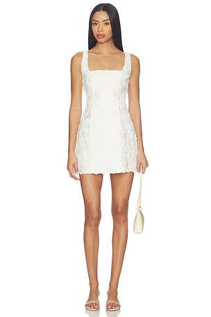 Lacy Mini Dress Lovers and Friends