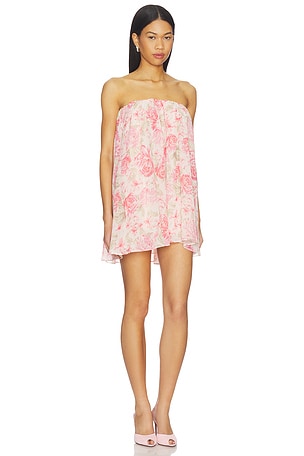 Lovers and Friends Cristina Mini Dress in Pink