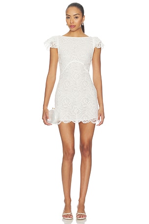 Dakota Mini Dress Lovers and Friends