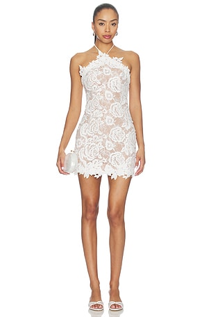 Remy Mini Dress Lovers and Friends