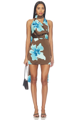 Sophina Mini Dress Lovers and Friends