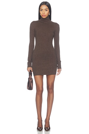 Bessi Turtle Neck Mini Dress Lovers and Friends