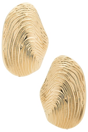 Peyton Earring Lovers and Friends