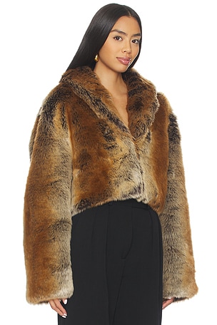 Lovers and Friends Cropped Ernie Coat in Brown