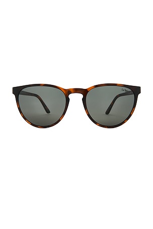 Invincible Sunglasses Le Specs