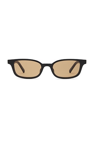 サングラス Le Specs