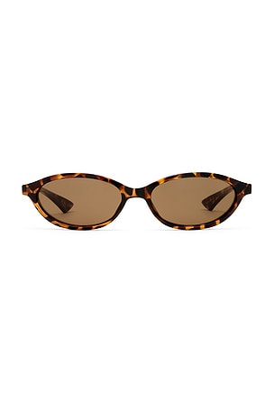 Duskfall Sunglasses Le Specs