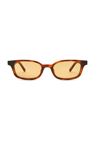 Echelon Sunglasses Le Specs