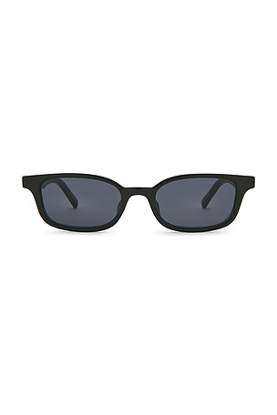 Echelon Sunglasses Le Specs