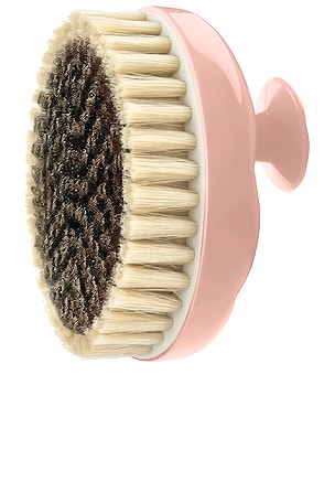 Body Brush N01 Normal To Sensitive Skins La Bonne Brosse