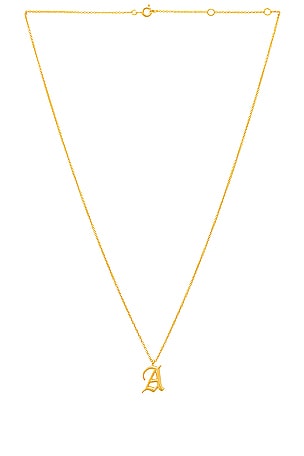 The Initial Charm NecklaceLuv AJ$60