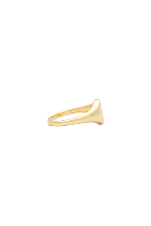 Luv AJ The Oval Signet Ring in Metallic Gold