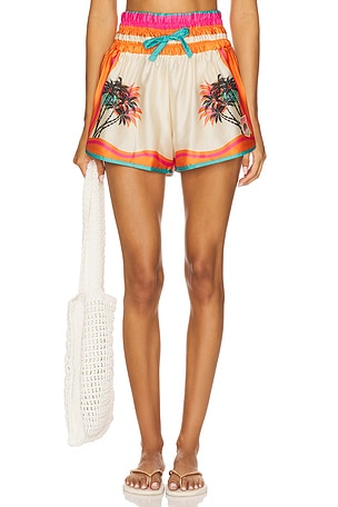 Rhino Shorts Maaji