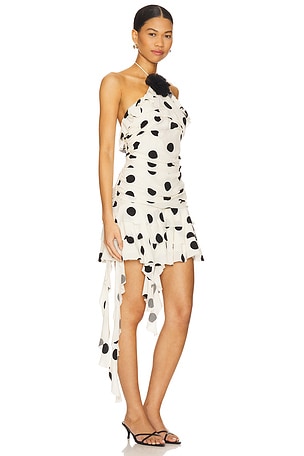 MAJORELLE Brandi Mini Dress in White,Black