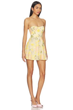 MAJORELLE Maizie Mini Dress in Yellow,Pink
