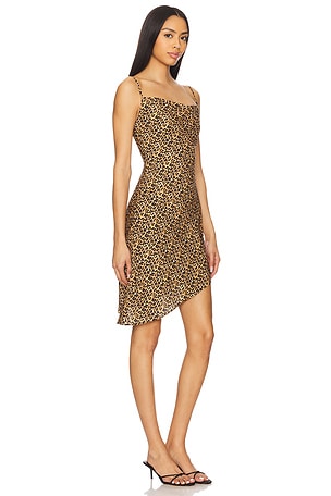 Miaou Helga Dress in Brown