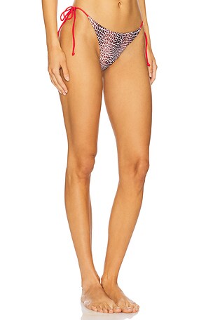 Miaou Kauai Bikini Bottom in Chocolate
