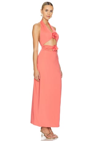 Maygel Coronel Vaupes Dress in Pink