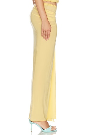 Maygel Coronel Pollera Skirt