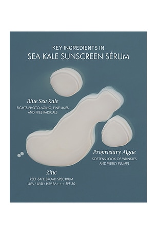 MARA Beauty Algae + Zinc Sea Kale Sunscreen Serum in Beauty: NA