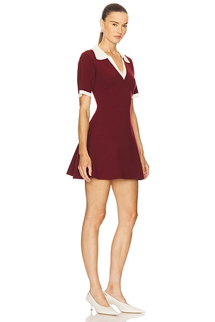 Maude Club Tallulah Knit Dress in Burgundy
