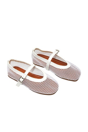 Lala Mesh Shoes MINI DREAMERS