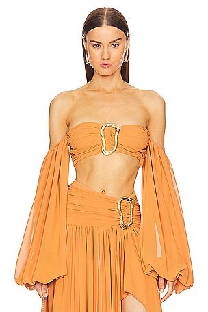 x REVOLVE Blair Crop Top Michael Costello