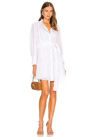 x REVOLVE Jasmine Mini Dress MERGIM