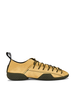 Prudence Sneaker Miista