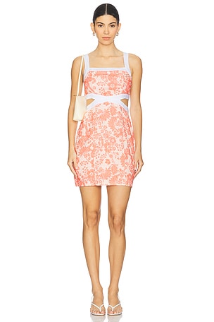 Petal Contrast Mini Dress MINKPINK