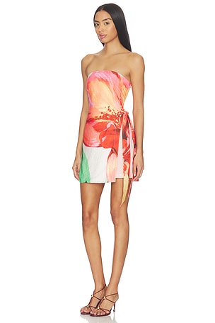 MINKPINK Zinnia Tie Side Mini Dress in Pink