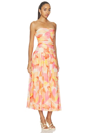 MINKPINK Solana Mesh Midi Dress in Multi