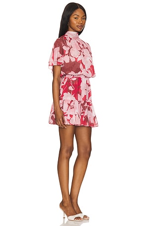 MISA Los Angeles Saffie Dress in Pink