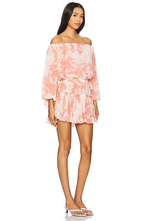 MISA Los Angeles Zonia Dress in Pink
