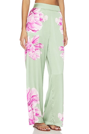 MISA Los Angeles Izzie Pant in Sage