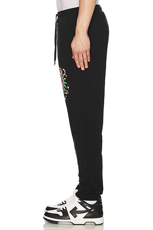 GD Solar Flare Sweatpant Market
