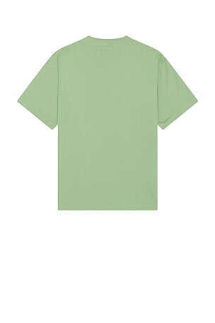 Market 4X4 Bear T-Shirt in Sage