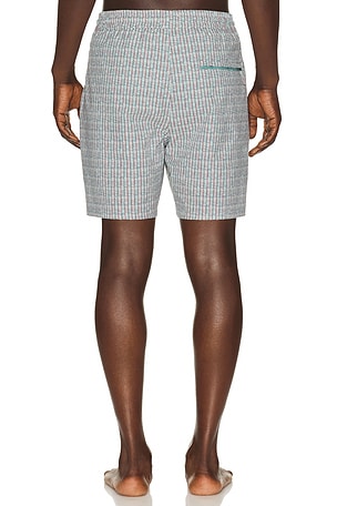 Marine Layer 6 Line Sport & Swim Shorts in Green